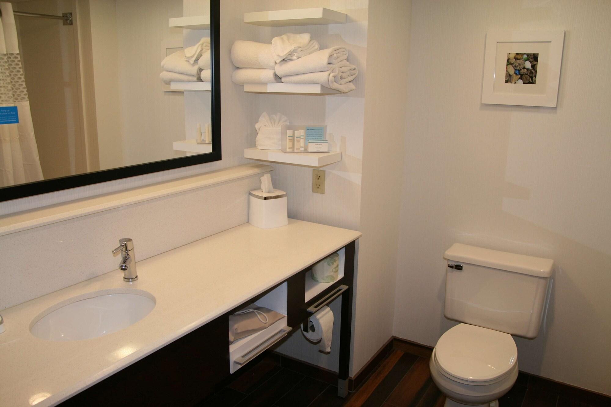 Hampton Inn Birch Run Bagian luar foto
